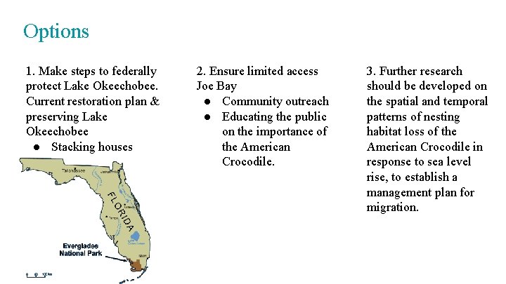 Options 1. Make steps to federally protect Lake Okeechobee. Current restoration plan & preserving