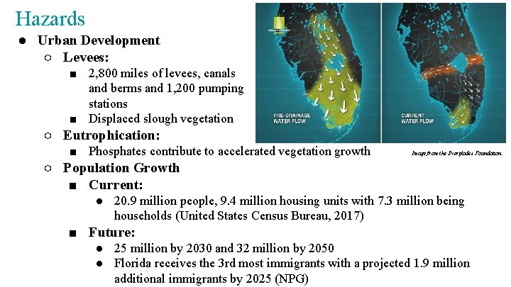 Hazards ● Urban Development ○ Levees: ■ 2, 800 miles of levees, canals and