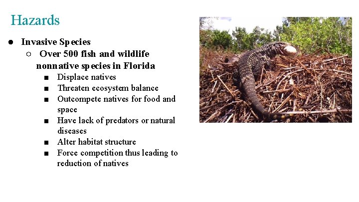 Hazards ● Invasive Species ○ Over 500 fish and wildlife nonnative species in Florida