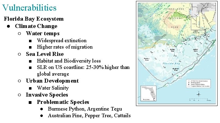 Vulnerabilities Florida Bay Ecosystem ● Climate Change ○ Water temps ■ Widespread extinction ■
