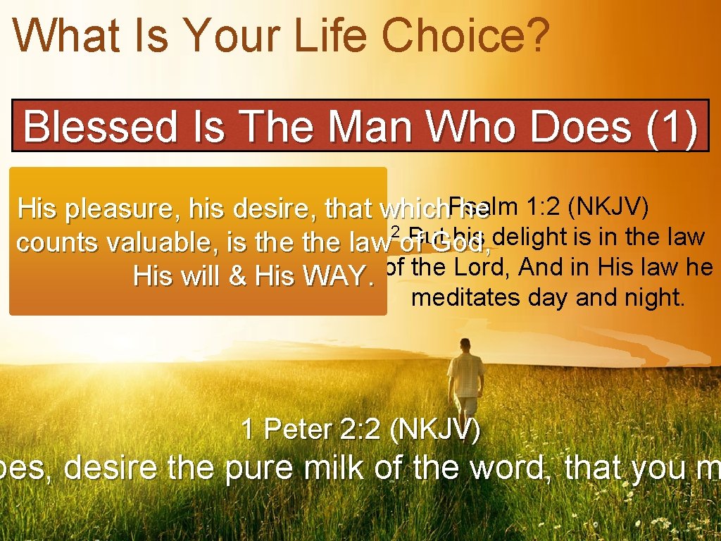 What Is Your Life Choice? Blessed Is The Man Who Does (1) Psalm 1: