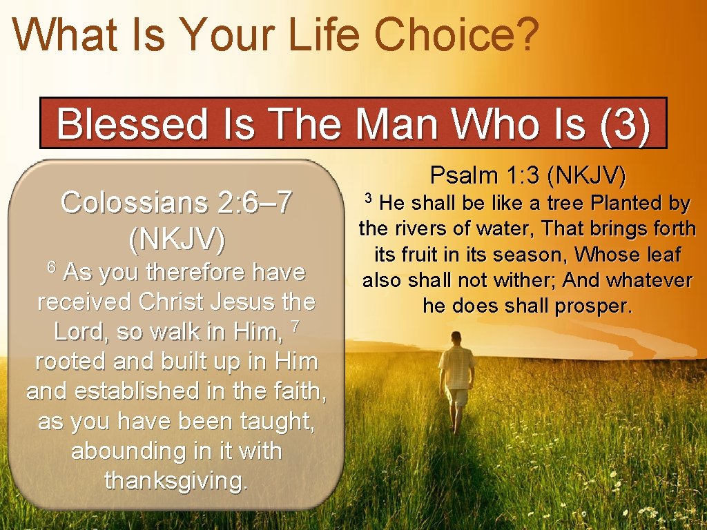 What Is Your Life Choice? Blessed Is The Man Who Is (3) Colossians 2: