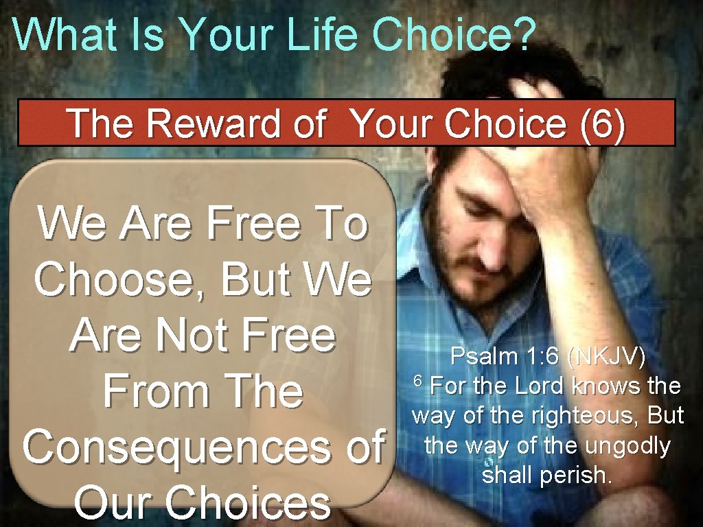 What Is Your Life Choice? The Reward of Your Choice (6) We Are Free