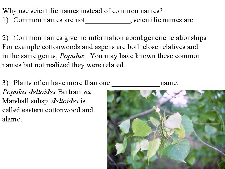 Why use scientific names instead of common names? 1) Common names are not______, scientific