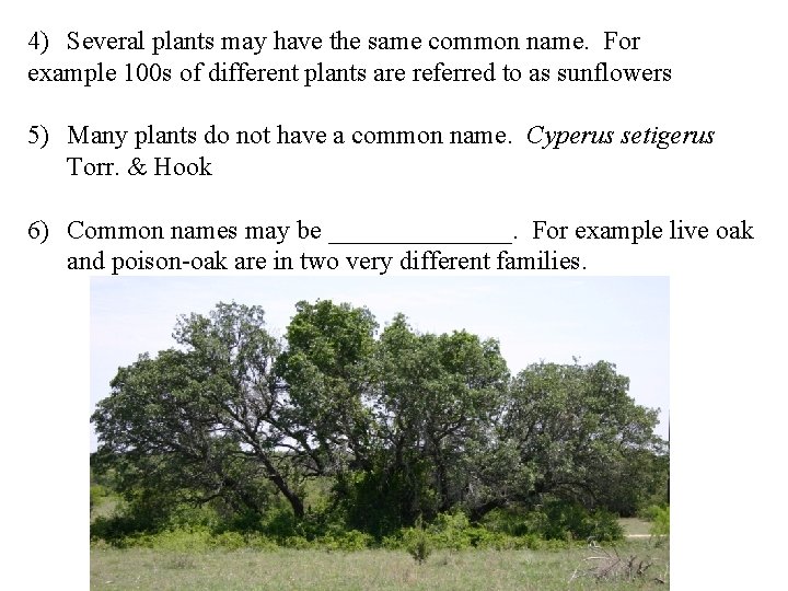 4) Several plants may have the same common name. For example 100 s of