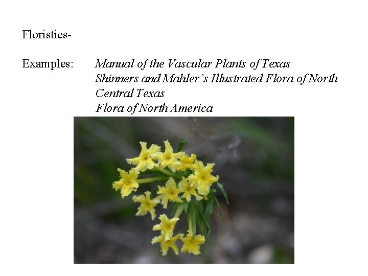 Floristics. Examples: Manual of the Vascular Plants of Texas Shinners and Mahler’s Illustrated Flora