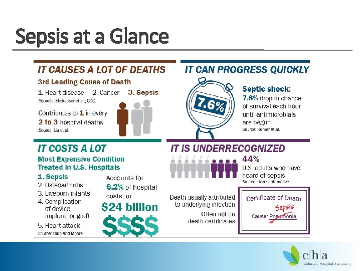 Sepsis at a Glance 