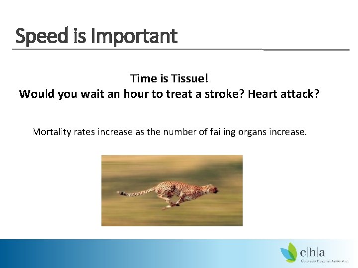 Speed is Important Time is Tissue! Would you wait an hour to treat a