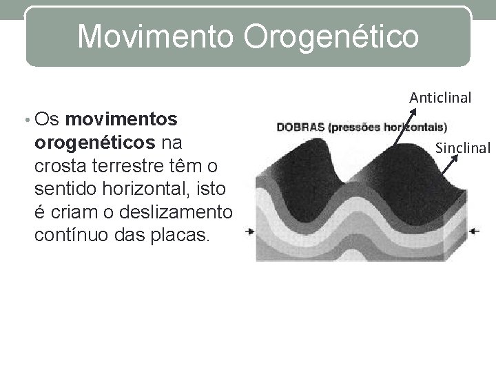 Movimento Orogenético Anticlinal • Os movimentos orogenéticos na crosta terrestre têm o sentido horizontal,