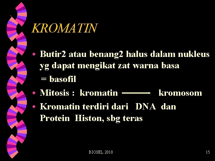 KROMATIN Butir 2 atau benang 2 halus dalam nukleus yg dapat mengikat zat warna