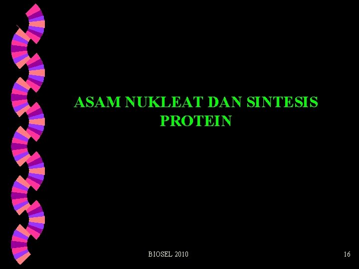 ASAM NUKLEAT DAN SINTESIS PROTEIN BIOSEL 2010 16 