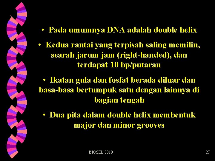  • Pada umumnya DNA adalah double helix • Kedua rantai yang terpisah saling