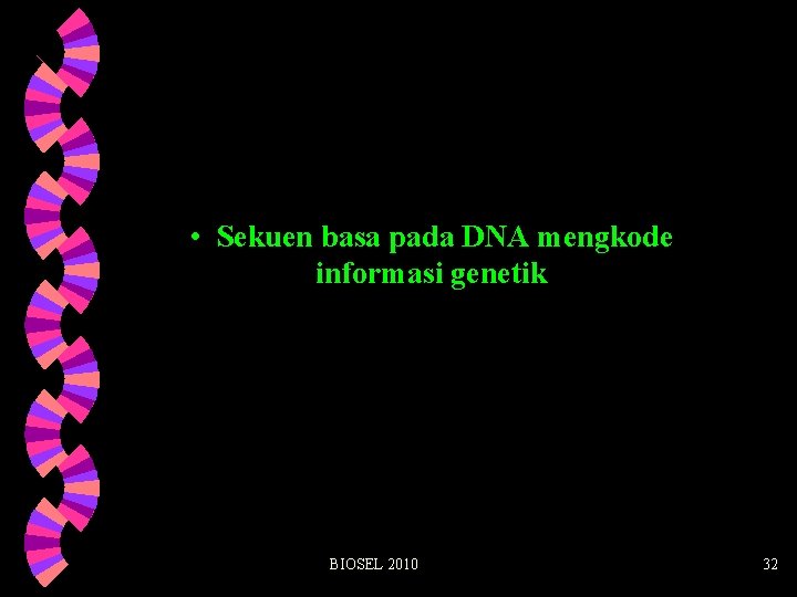  • Sekuen basa pada DNA mengkode informasi genetik BIOSEL 2010 32 