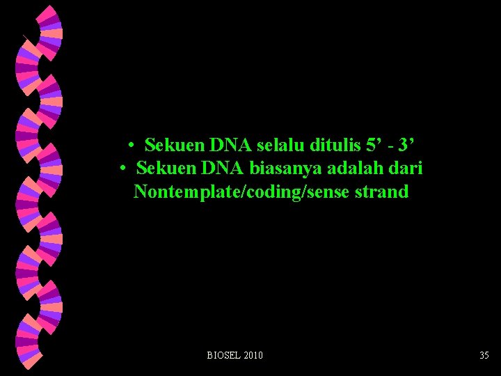  • Sekuen DNA selalu ditulis 5’ - 3’ • Sekuen DNA biasanya adalah