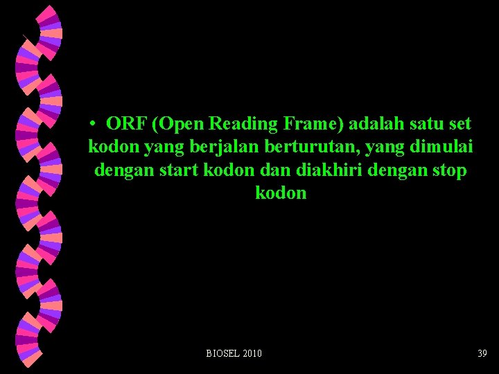  • ORF (Open Reading Frame) adalah satu set kodon yang berjalan berturutan, yang