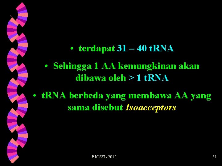  • terdapat 31 – 40 t. RNA • Sehingga 1 AA kemungkinan akan