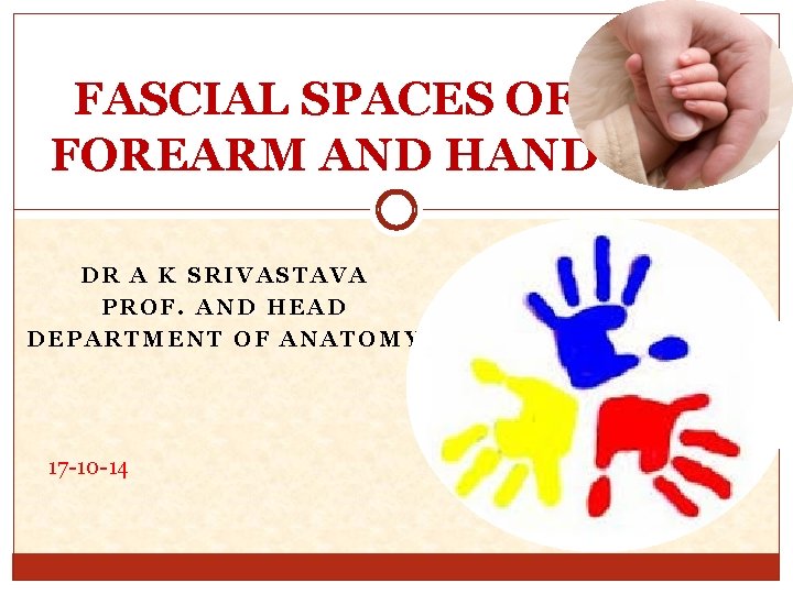 FASCIAL SPACES OF FOREARM AND HAND DR A K SRIVASTAVA PROF. AND HEAD DEPARTMENT