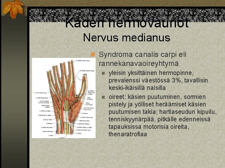 Käden hermovauriot Nervus medianus n Syndroma canalis carpi eli rannekanavaoireyhtymä yleisin yksittäinen hermopinne, prevalenssi