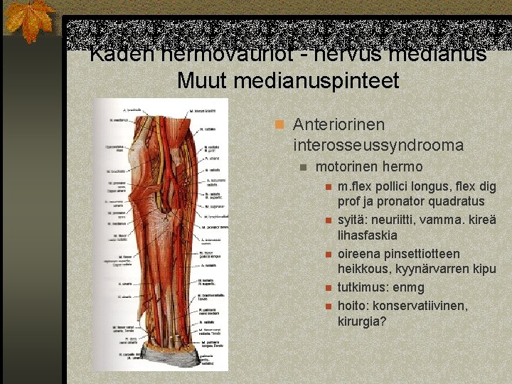 Käden hermovauriot - nervus medianus Muut medianuspinteet n Anteriorinen interosseussyndrooma n motorinen hermo n