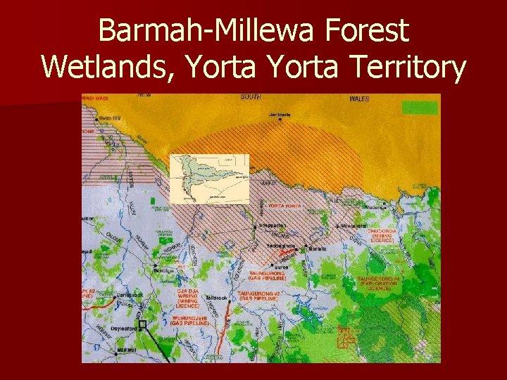 Barmah-Millewa Forest Wetlands, Yorta Territory 