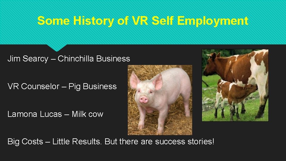 Some History of VR Self Employment Jim Searcy – Chinchilla Business VR Counselor – Some History of VR Self Employment Jim Searcy – Chinchilla Business VR Counselor –