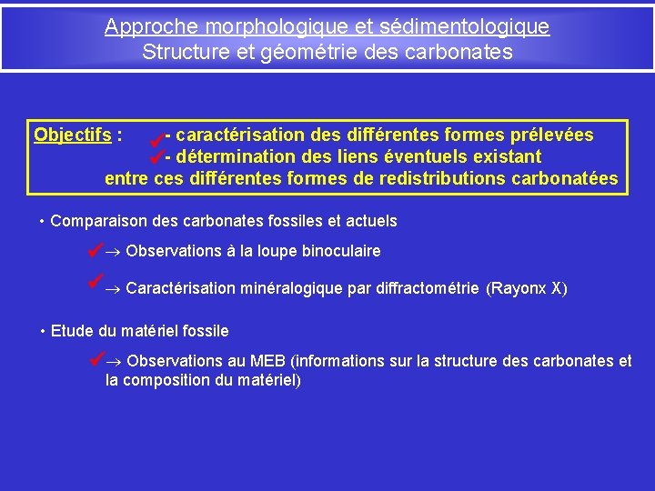 Approche morphologique et sédimentologique Structure et géométrie des carbonates Objectifs : - caractérisation des