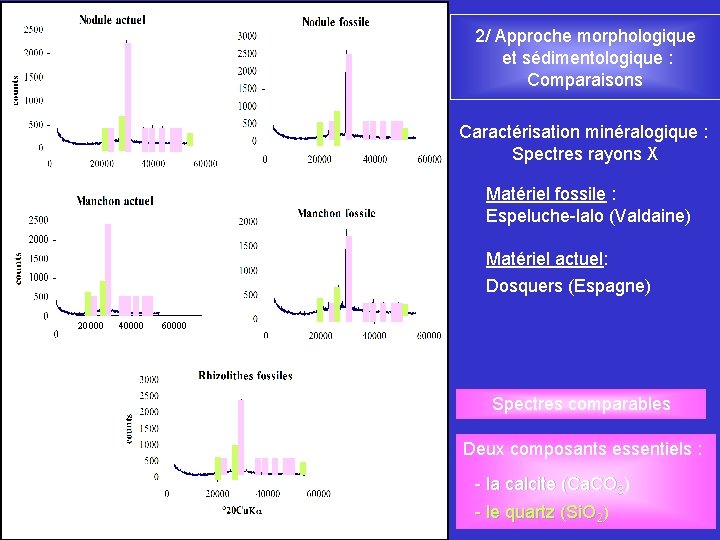 2/ Approche morphologique et sédimentologique : Comparaisons Caractérisation minéralogique : Spectres rayons X Matériel