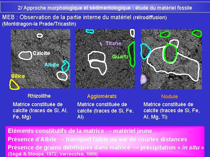 2/ Approche morphologique et sédimentologique : étude du matériel fossile MEB : Observation de