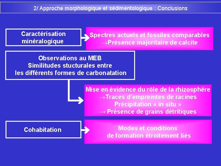 2/ Approche morphologique et sédimentologique : Conclusions Caractérisation minéralogique Spectres actuels et fossiles comparables