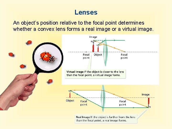 Lenses An object’s position relative to the focal point determines whether a convex lens