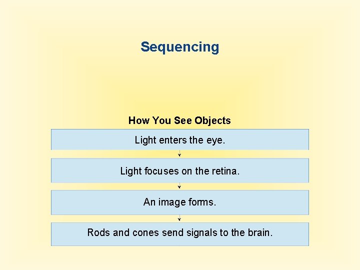 Sequencing How You See Objects Light enters the eye. Light focuses on the retina.