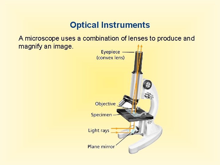 Optical Instruments A microscope uses a combination of lenses to produce and magnify an