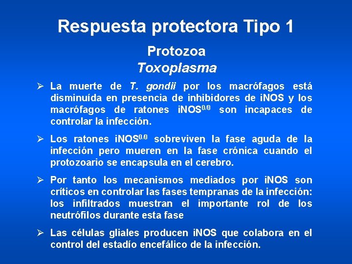 Respuesta protectora Tipo 1 Protozoa Toxoplasma Ø La muerte de T. gondii por los
