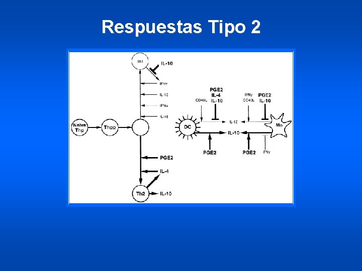 Respuestas Tipo 2 