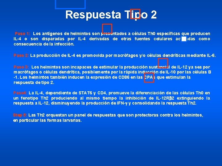 Respuesta Tipo 2 Paso 1: Los antígenos de helmintos son presentados a células Th