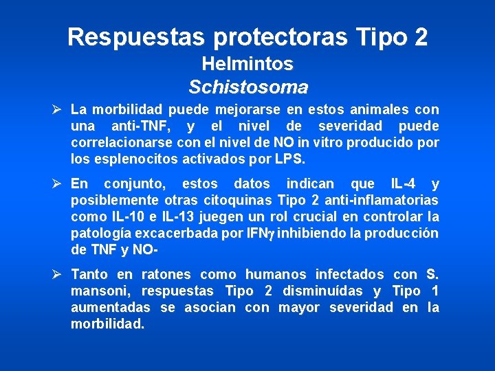 Respuestas protectoras Tipo 2 Helmintos Schistosoma Ø La morbilidad puede mejorarse en estos animales