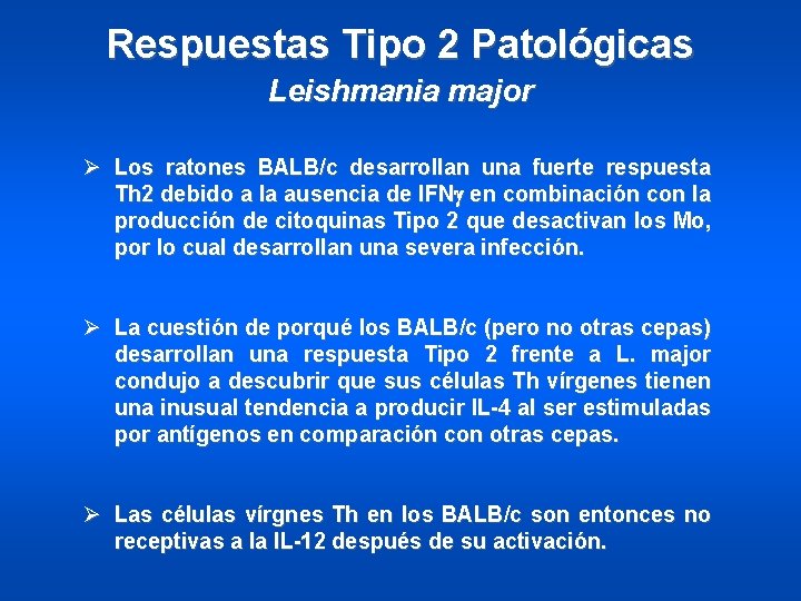 Respuestas Tipo 2 Patológicas Leishmania major Ø Los ratones BALB/c desarrollan una fuerte respuesta