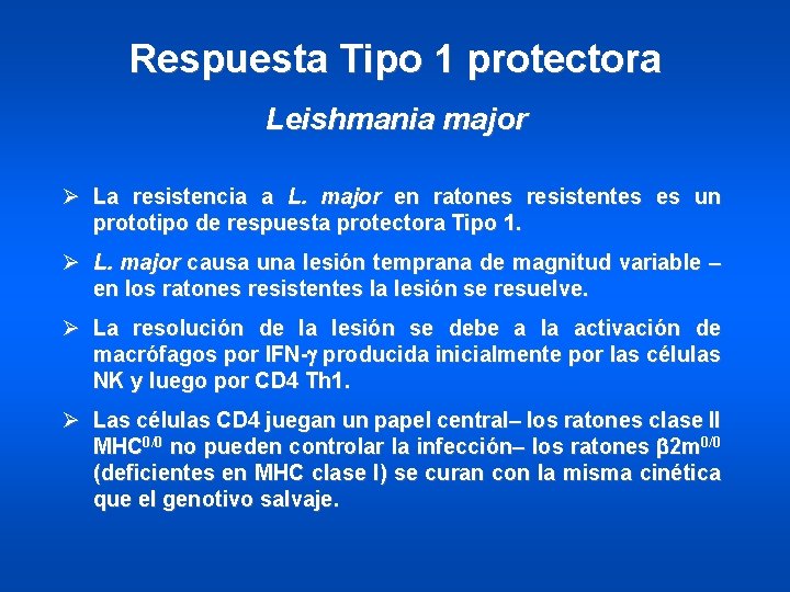 Respuesta Tipo 1 protectora Leishmania major Ø La resistencia a L. major en ratones