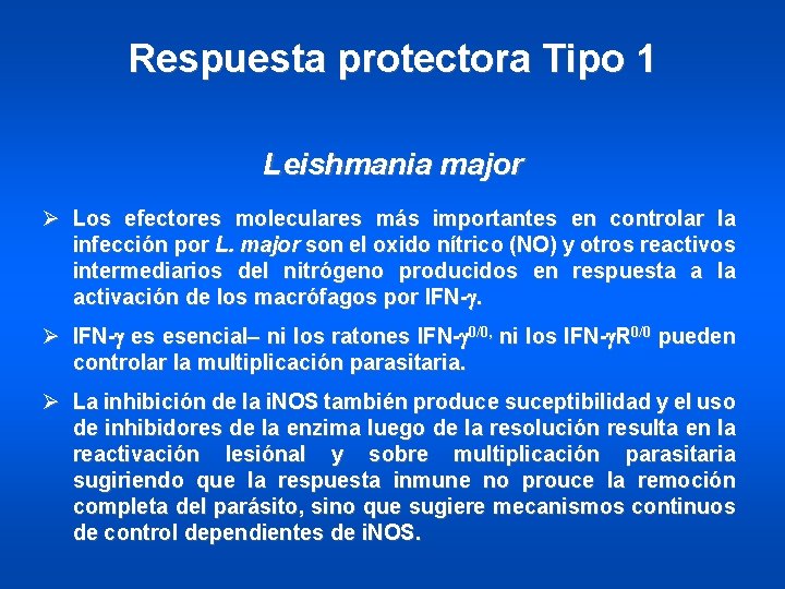 Respuesta protectora Tipo 1 Leishmania major Ø Los efectores moleculares más importantes en controlar