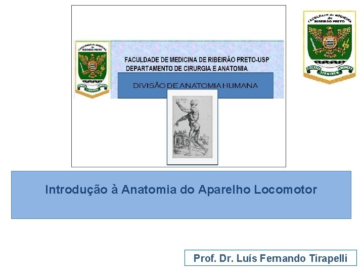 Introdução à Anatomia do Aparelho Locomotor Prof. Dr. Luís Fernando Tirapelli 