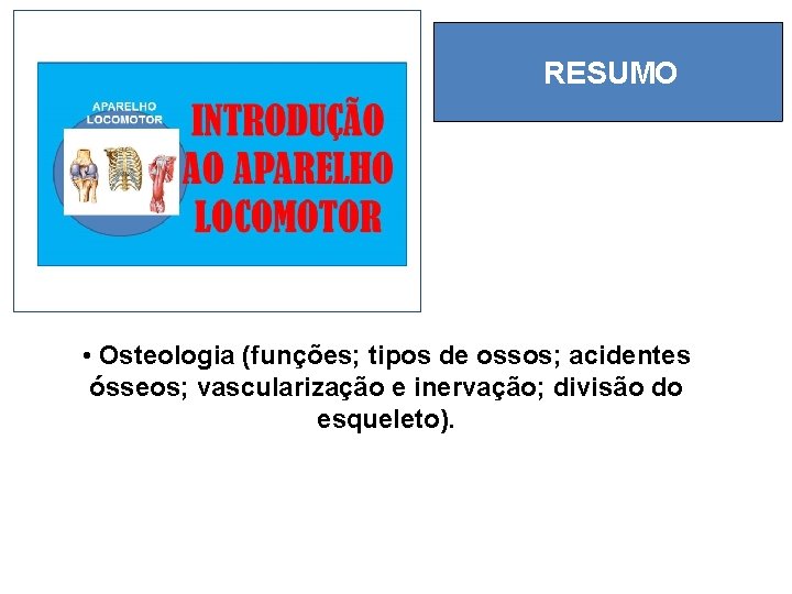 RESUMO • Osteologia (funções; tipos de ossos; acidentes ósseos; vascularização e inervação; divisão do