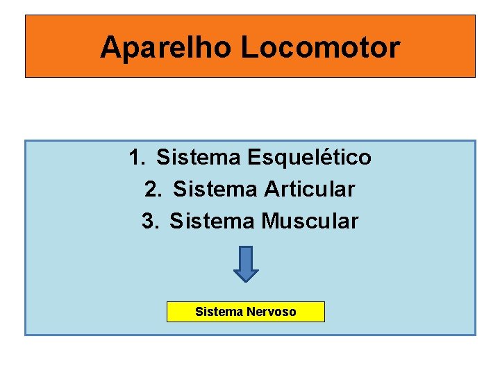 Aparelho Locomotor 1. Sistema Esquelético 2. Sistema Articular 3. Sistema Muscular Sistema Nervoso 