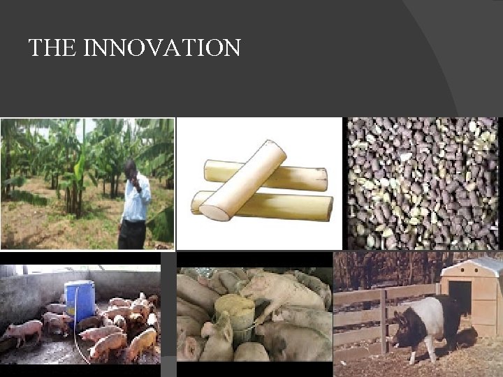 BACK TO BANANA FIBER BBF PROJECT Development Practitioner