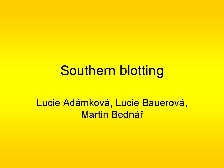 Southern blotting Lucie Adámková, Lucie Bauerová, Martin Bednář 