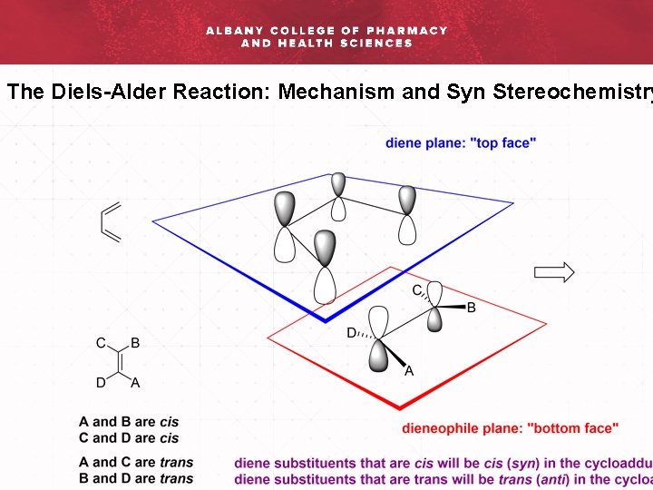 The Diels-Alder Reaction: Mechanism and Syn Stereochemistry 