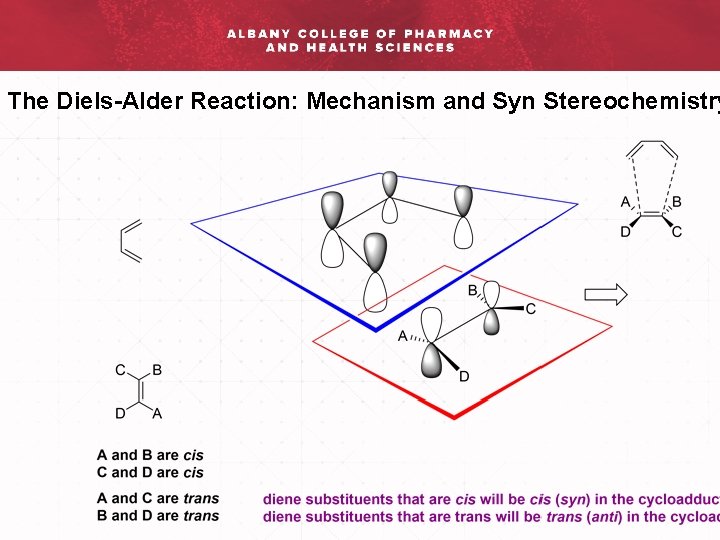 The Diels-Alder Reaction: Mechanism and Syn Stereochemistry 