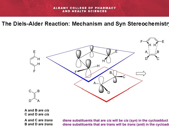The Diels-Alder Reaction: Mechanism and Syn Stereochemistry 