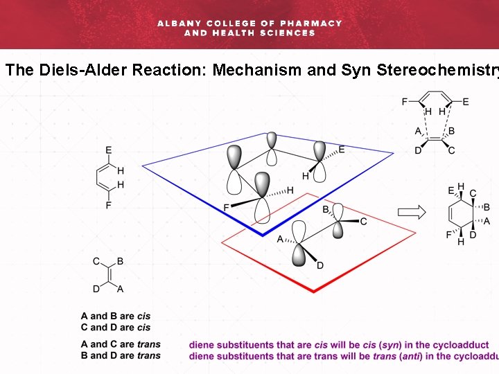 The Diels-Alder Reaction: Mechanism and Syn Stereochemistry 