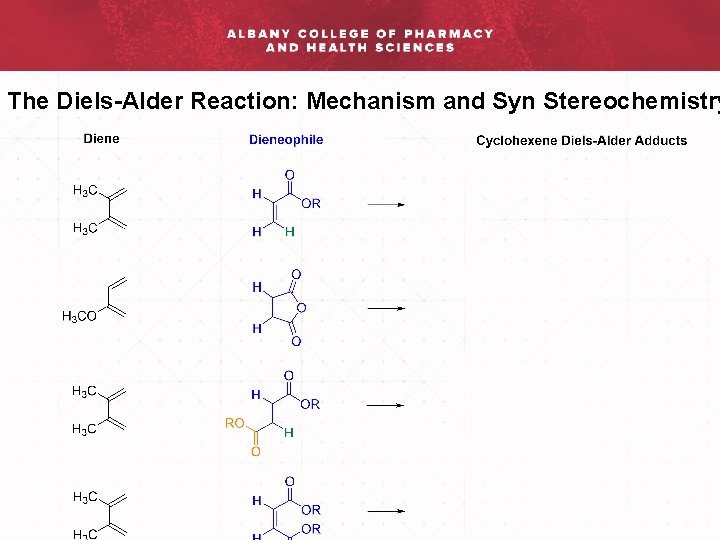 The Diels-Alder Reaction: Mechanism and Syn Stereochemistry 