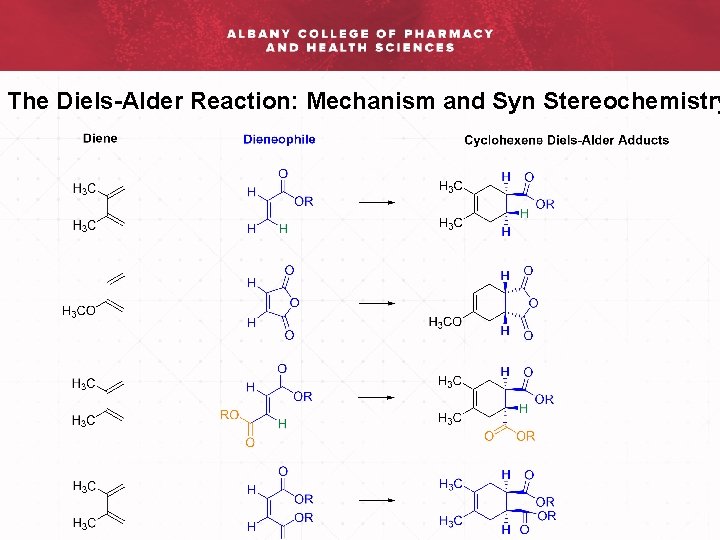 The Diels-Alder Reaction: Mechanism and Syn Stereochemistry 
